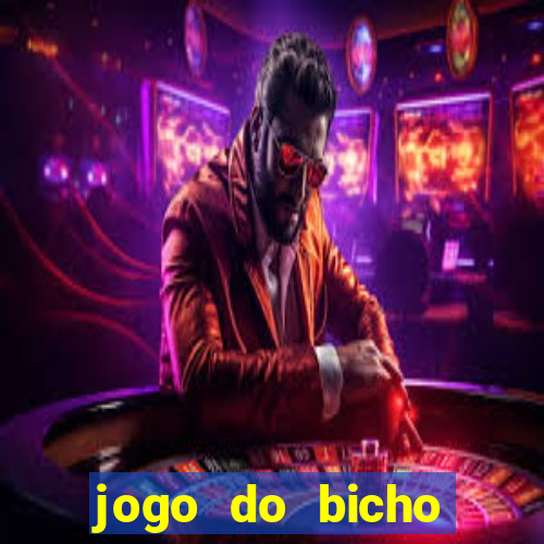 jogo do bicho crash bingo