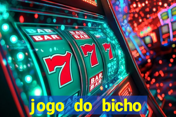 jogo do bicho crash bingo